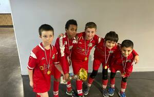 Tournoi Futsal de Roiffieux U11